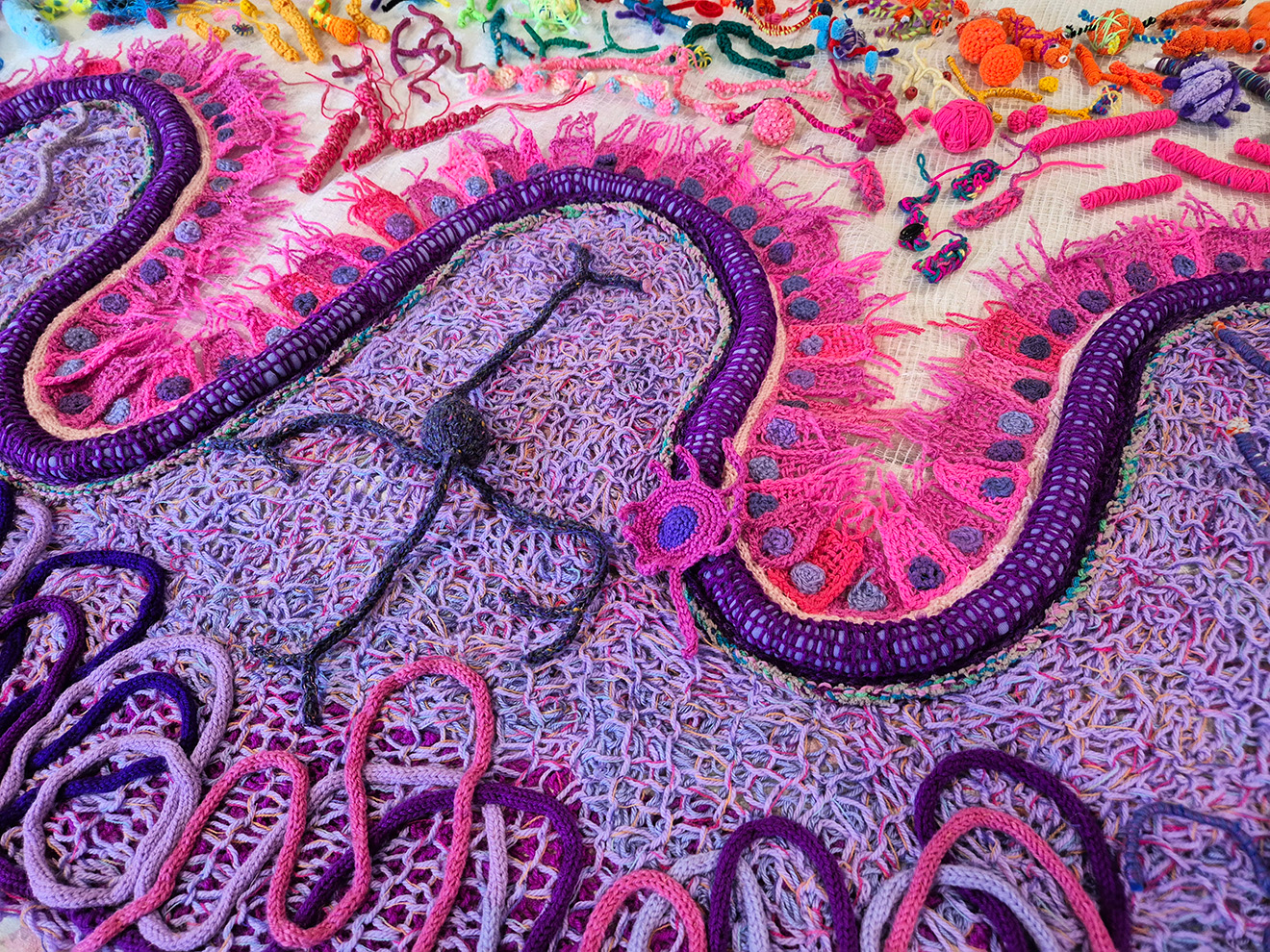 Knitted model of intestinal wall.