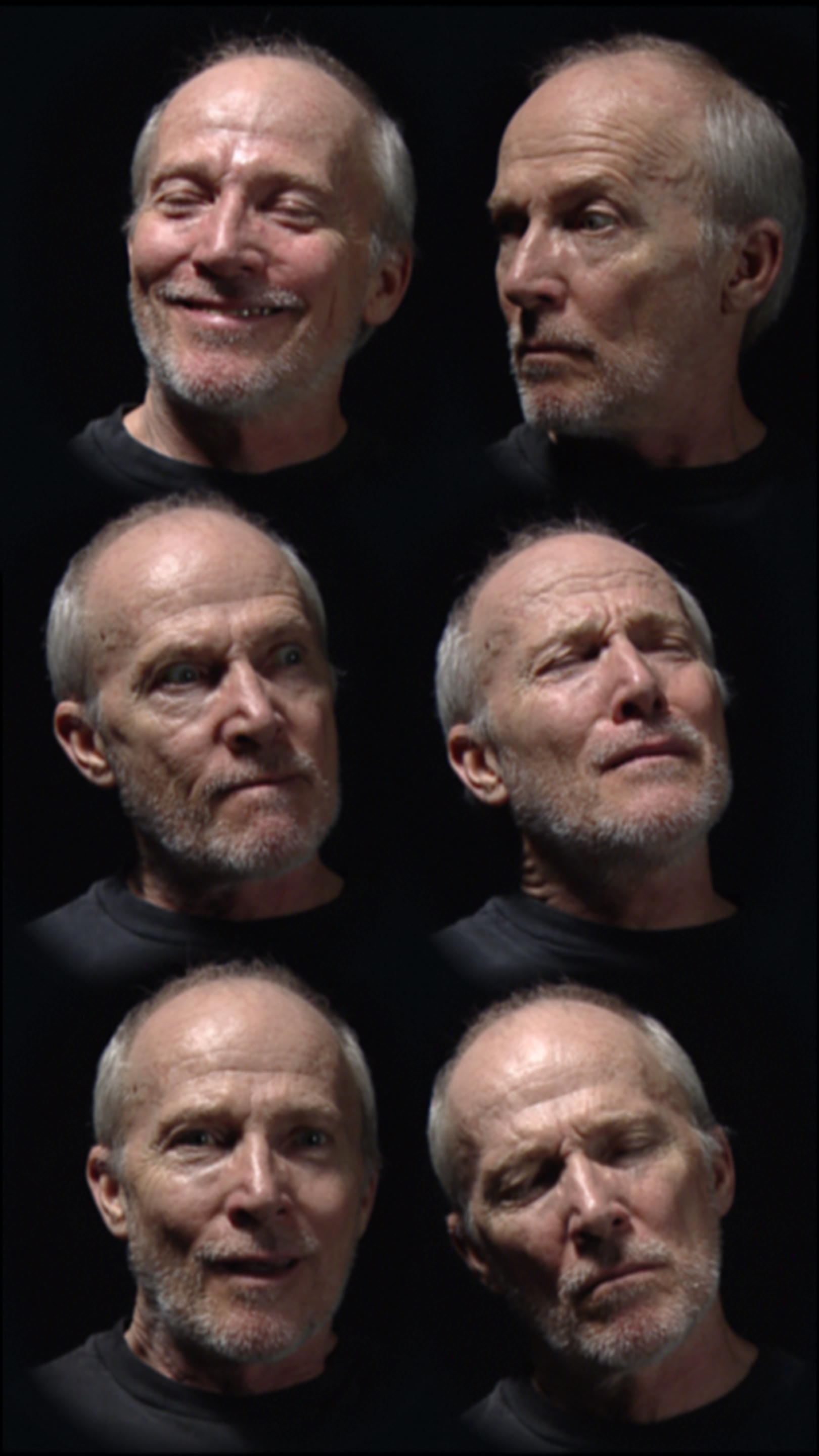 A long vertical digital screen showing the same 6 faces of an old man in different positions.