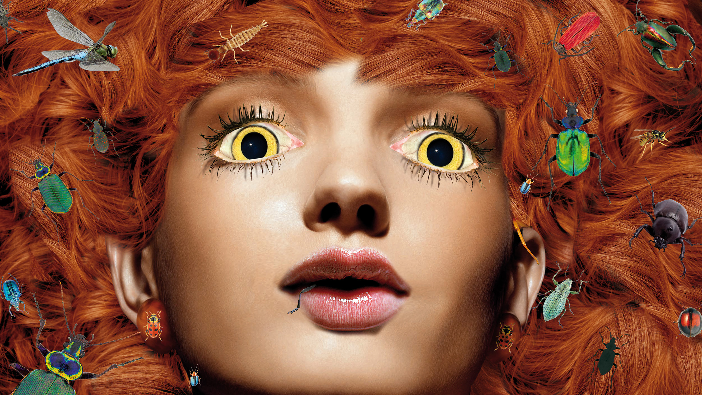 Still from digital animation by artist Debora Kelly of a female face with red hair covered in insects.