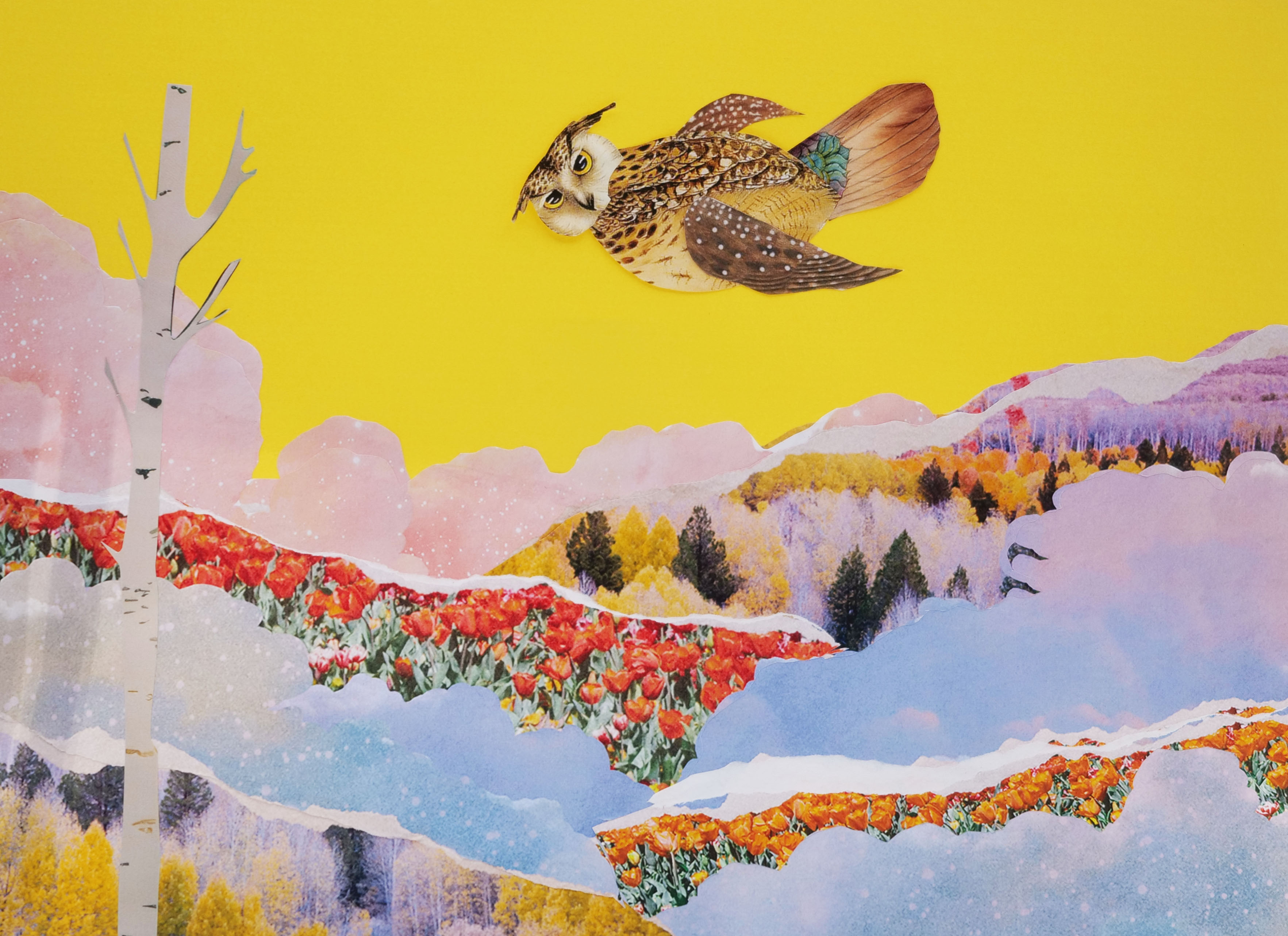 A collage of an owl flying over a forest on a bright yellow background.