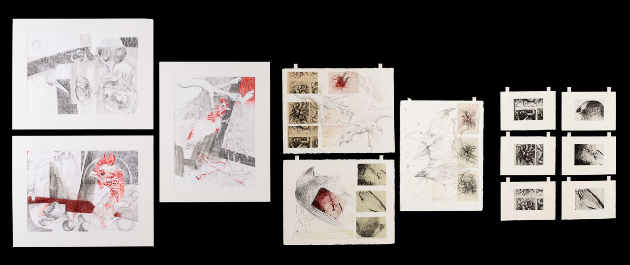 A series of drawing of close-ups of different body parts of birds.