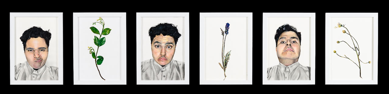 A six panelled drawing, 3 portraits of a teenage boy pulling different faces and three of different flowers.
