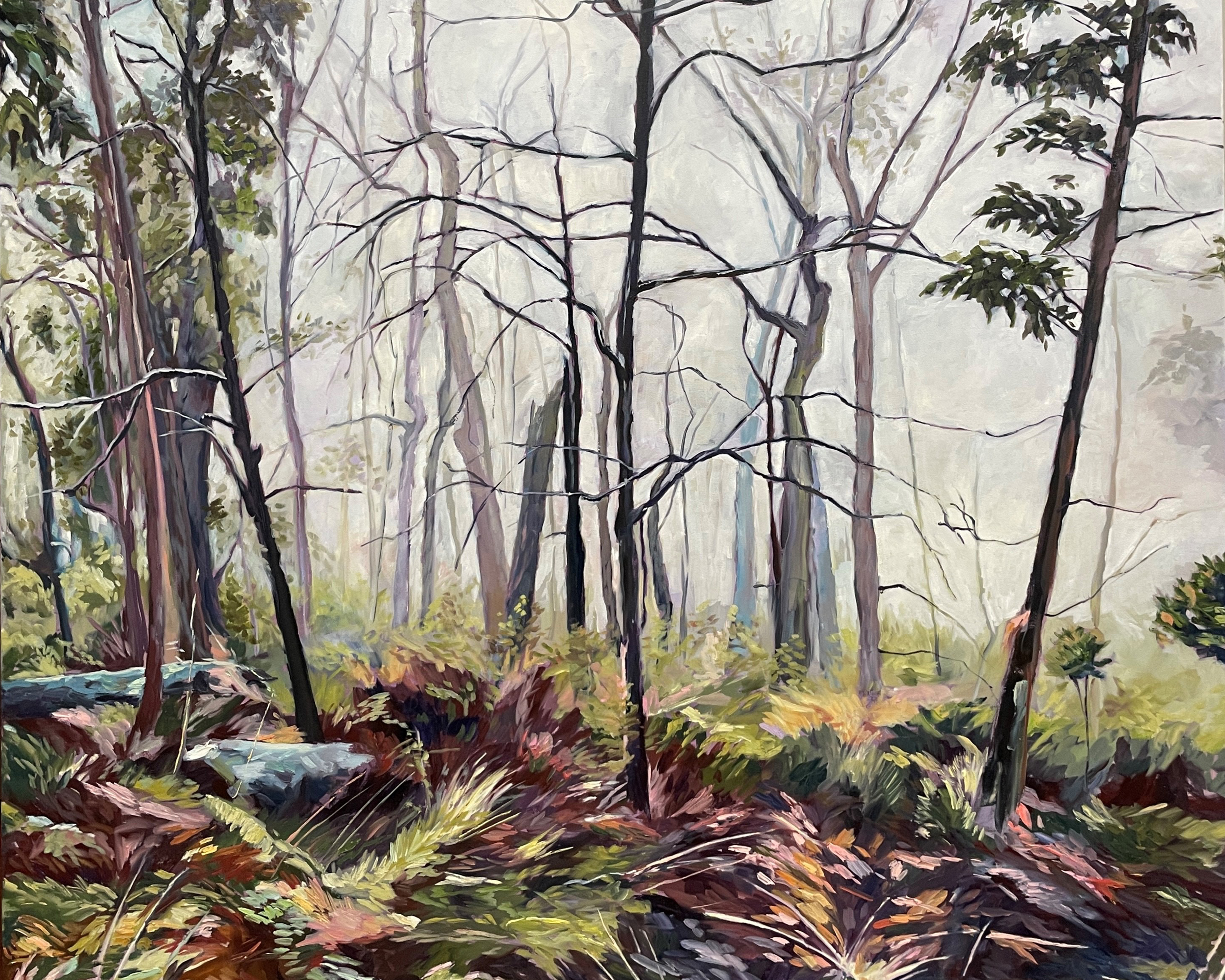 A landscape of a misty and sparse bushland scene.