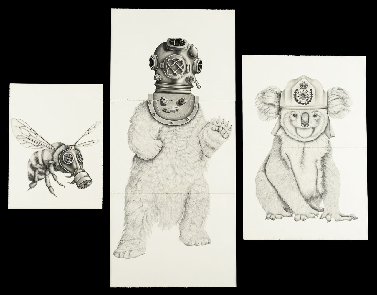 Three graphite pencil drawings of varying sizes. The smallest on the left is of a bee wearing a gas mask, the central drawing is a polar bear wearing an old fashioned divers' helmet, and the drawing on the right is a koala wearing a fireman's helmet.