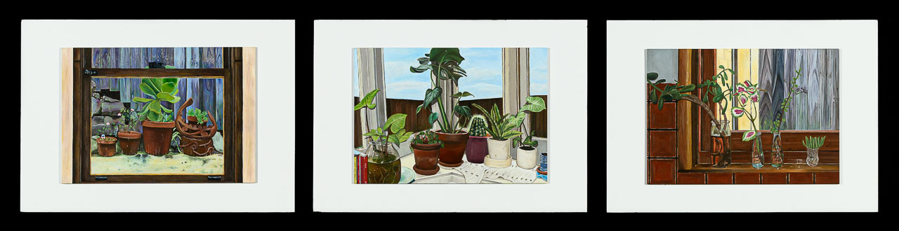 Three small, black framed paintings of potted house plants witting in window frames.