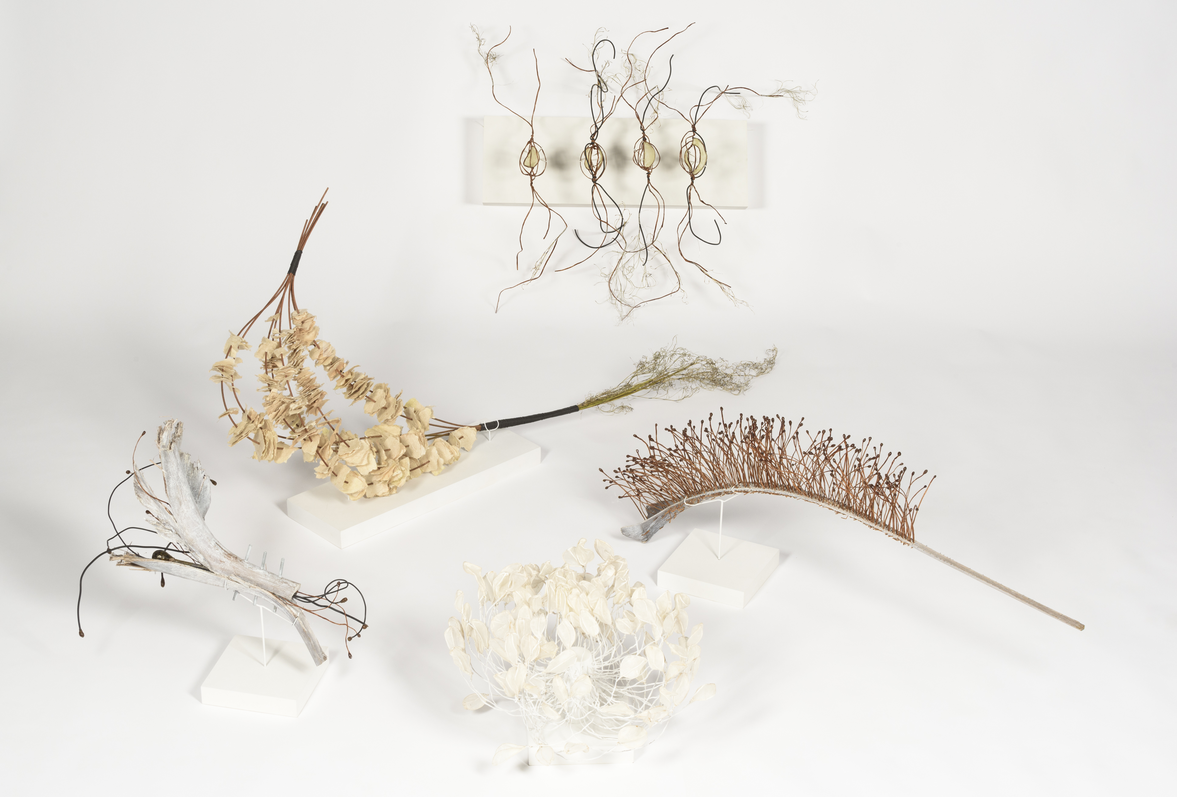 A series of five small sculptures made from found plant materials and paper that look botanical.
