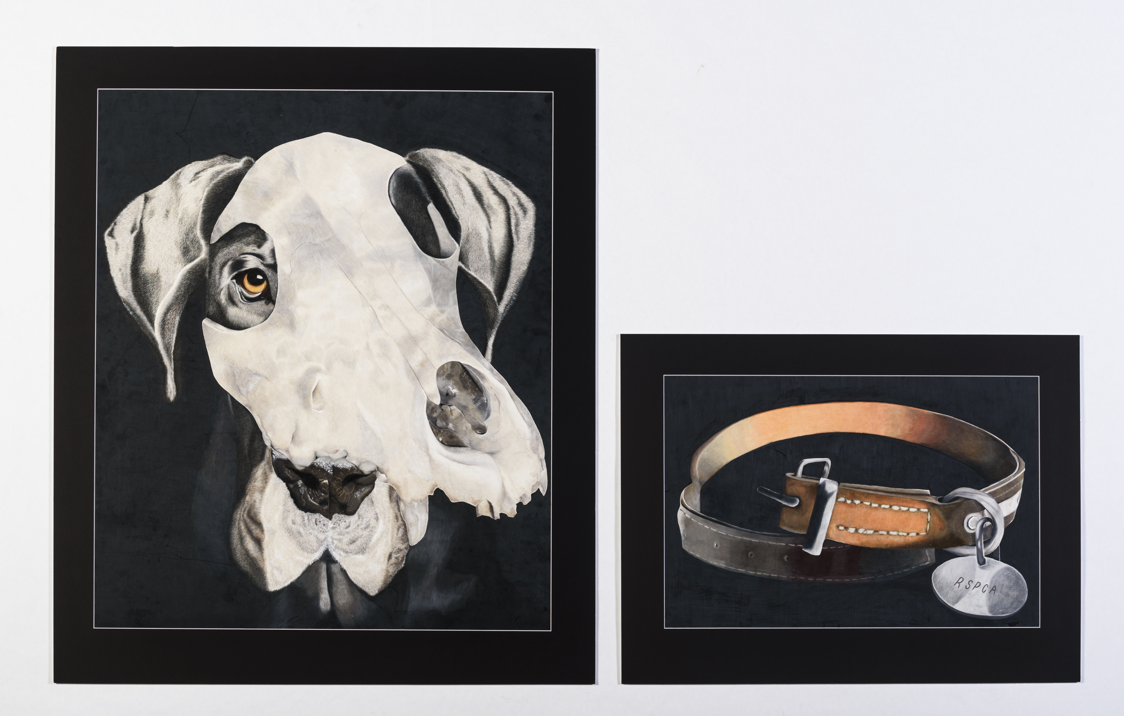Two coloured pencil drawings, one of a dog's face overlayed with a skull and the other of a dog's collar.