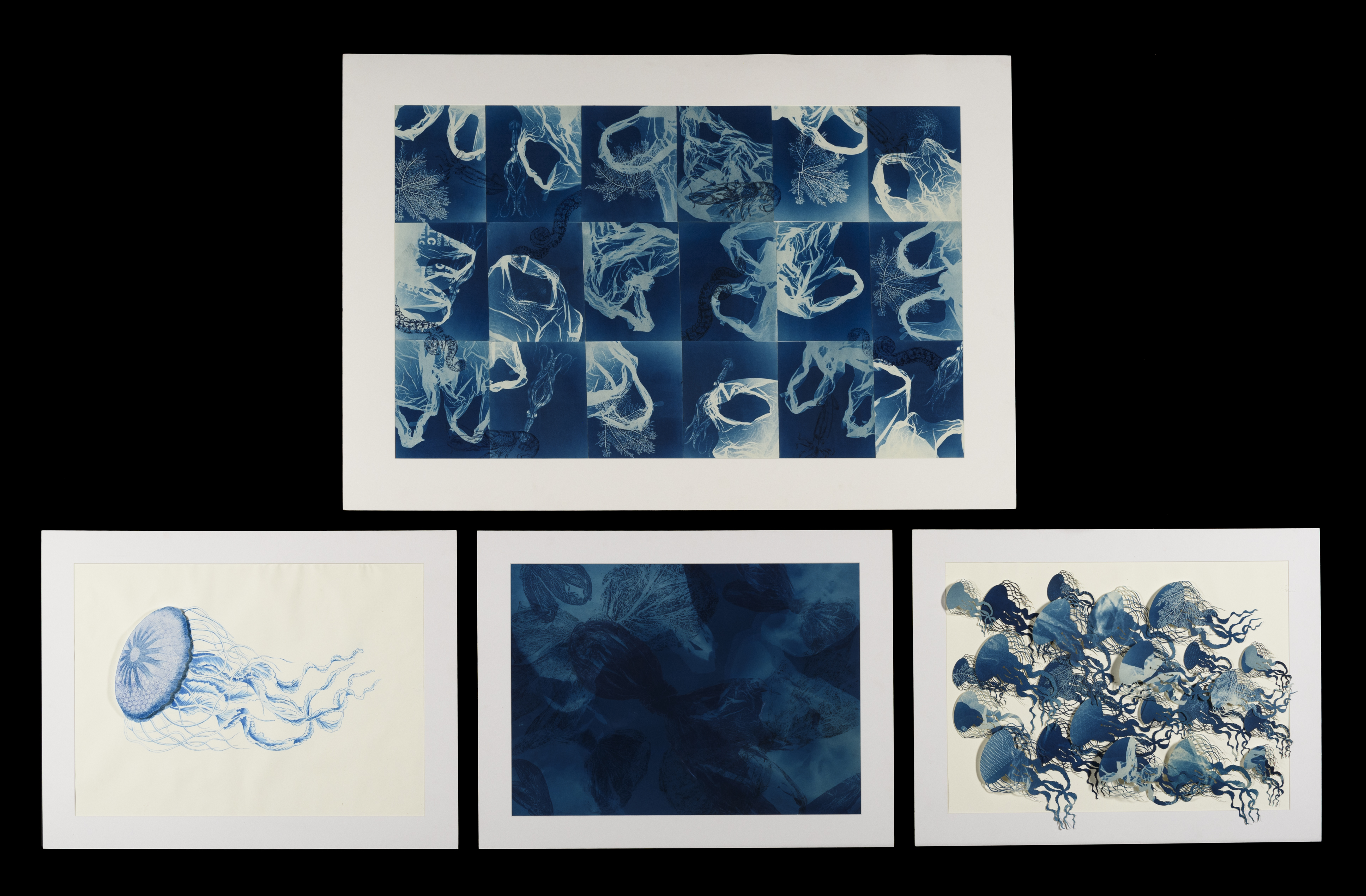 A series of four cyanotypes showing jellyfish and plastic bags.
