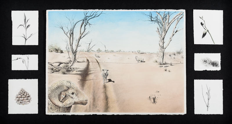 A large central work showing a landscape in drought, accompanied by six smaller drawings of living plants.