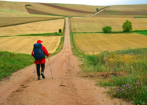 A man walink along a path surrounded by green hills and fields.