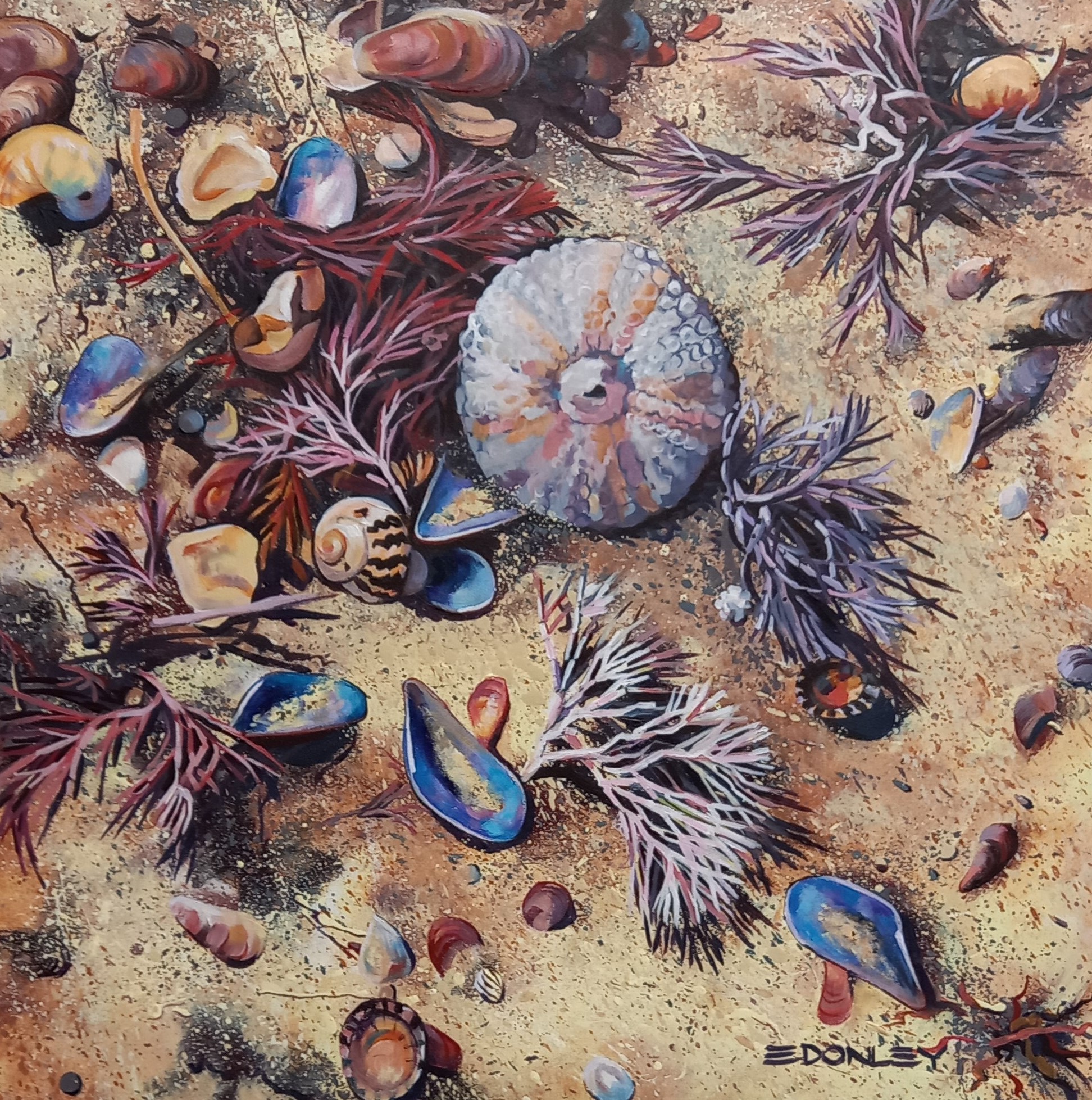 A painting of the seashore featuring shells, seaweed and a sea urchin.
