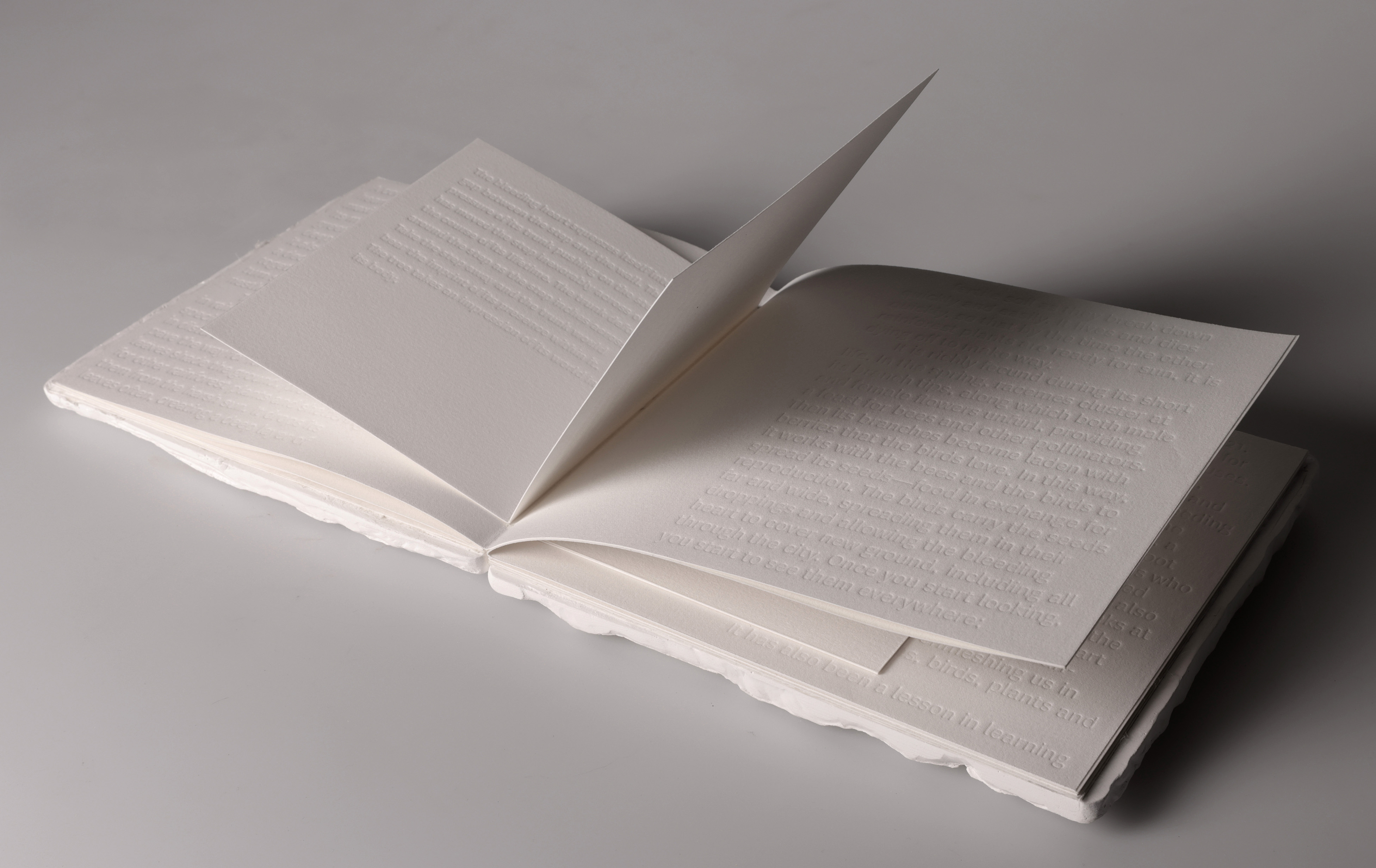 A white book with large text embossed pages.