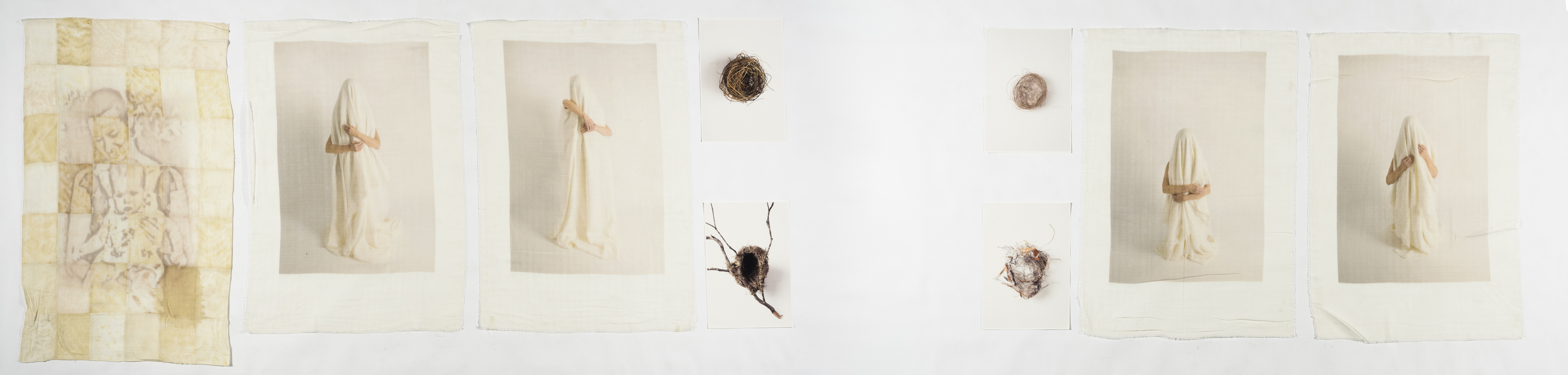 A quilt, four photographs of a figure draped in a white sheet and four photographs of birds nests on a white background.