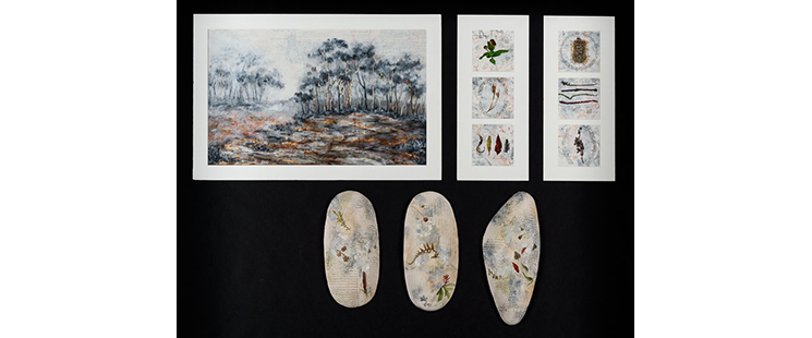 A collection of clay and drawing works about the Australian landscape.
