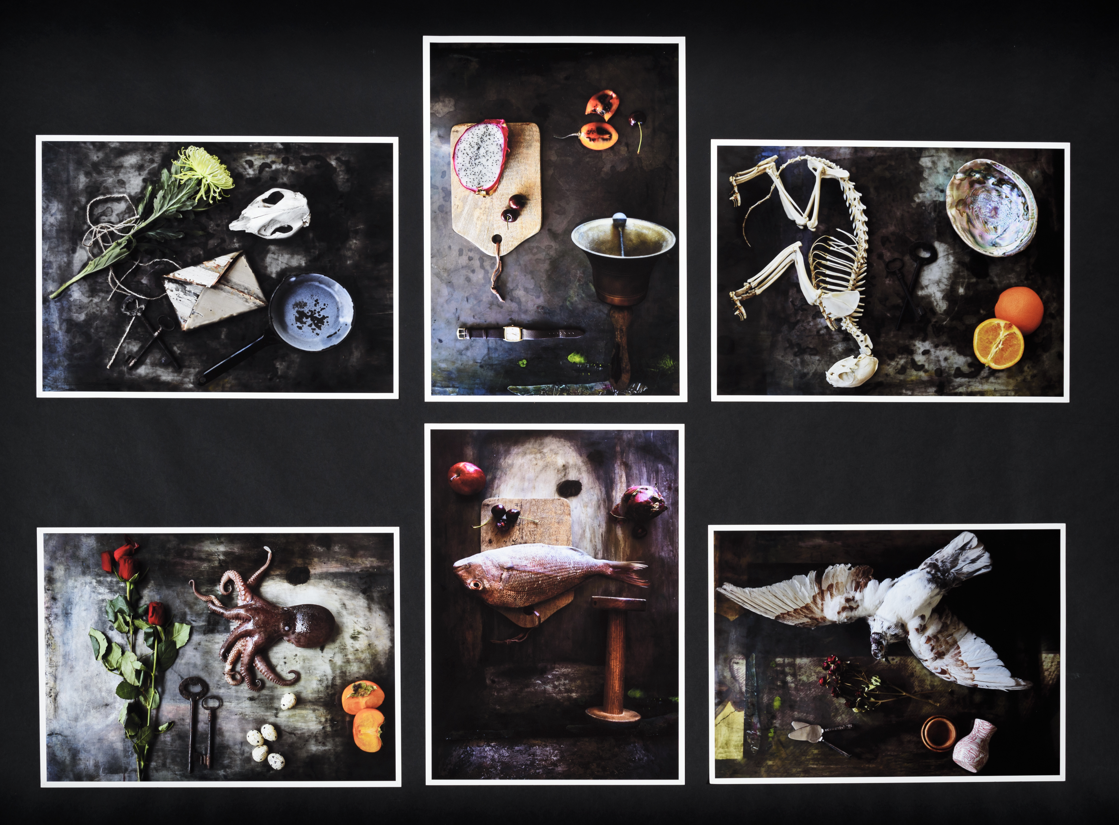 Six photographic works that show assemblages of fruits, flowers, dead animals and various objects.